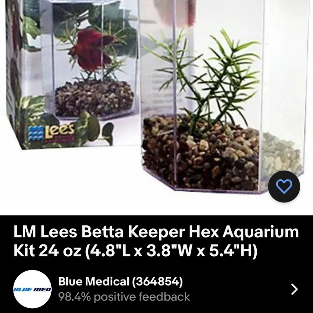 Betta Keeper